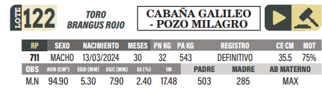 Lote LOTE 122