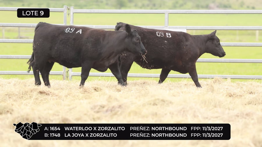 Lote Lote 09-B