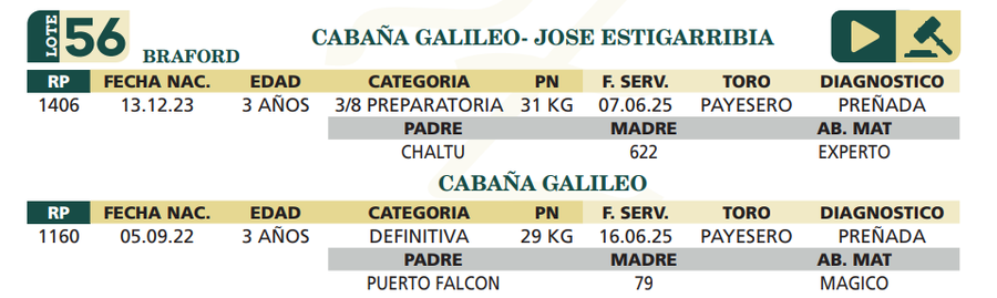 Lote LOTE 56