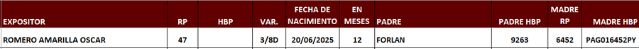 Lote LOTE 26