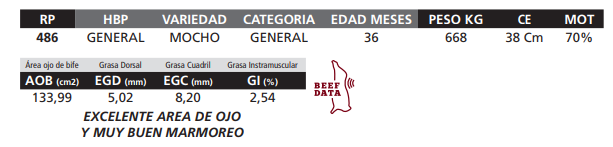 Lote LOTE 60