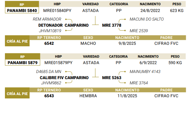 Lote LOTE 45