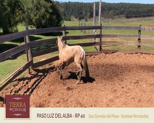 Lote Paso Luz Del Alba (RP) - Cabaña San Germán del Paso”