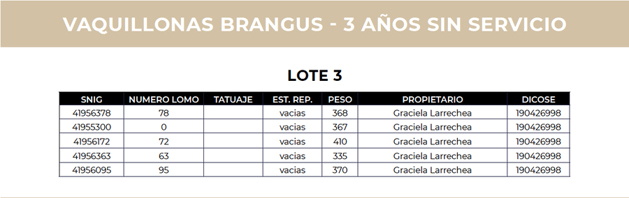 Lote 5 Vaquillonas Brangus - Cabaña El Gavilán (lote 3)