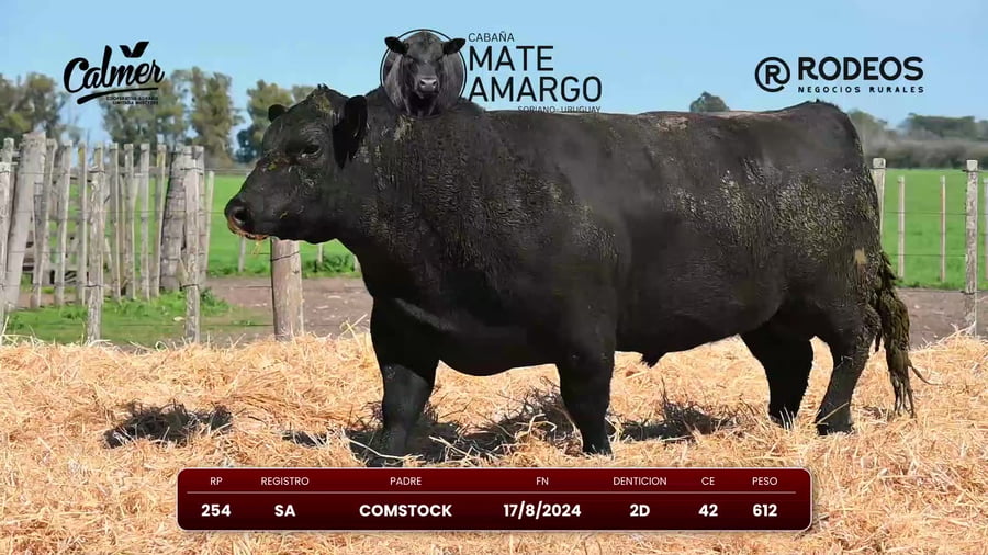Lote RP 254 SA