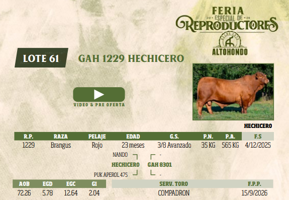 Lote LOTE 61