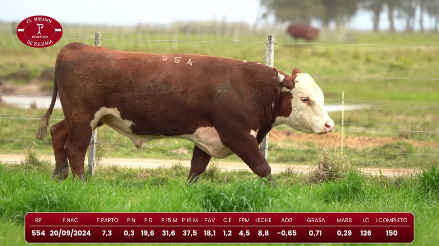 Lote Hereford