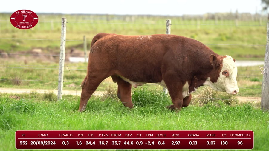 Lote Hereford