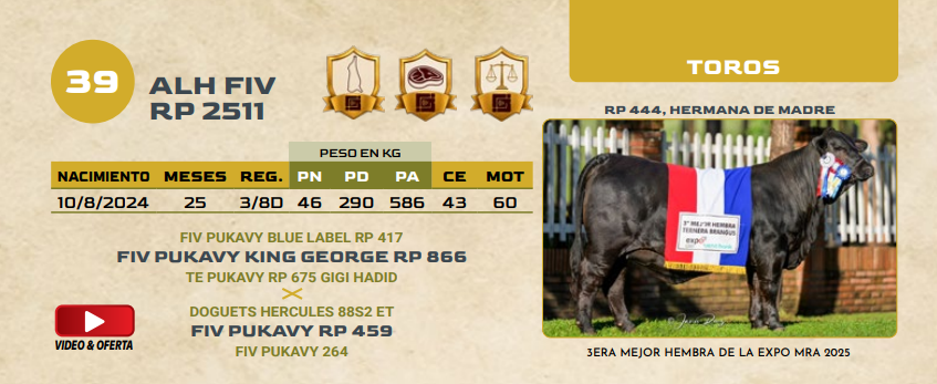 Lote LOTE 39