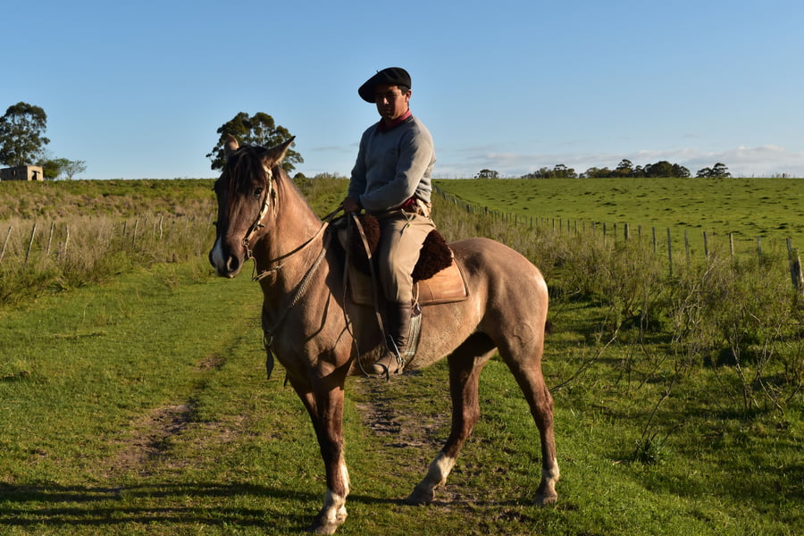 Lote Cabaña "Firmeza" - RP 73 - Piraí 73