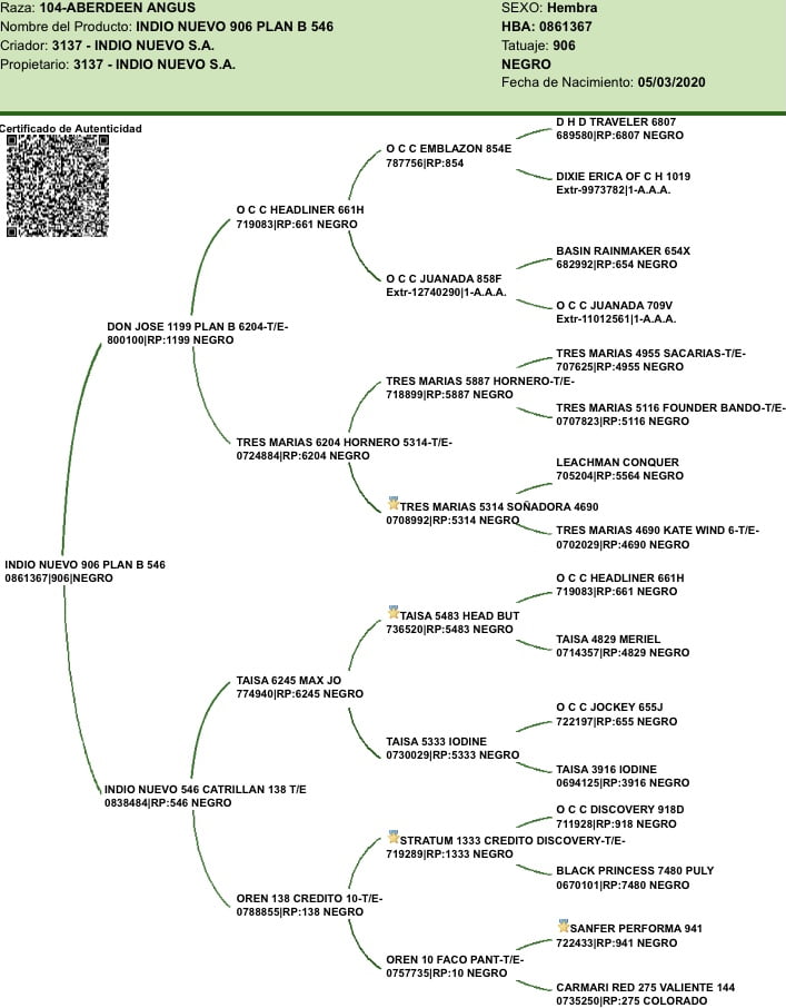 Lote VAQUILLONAS CON CRIA SANTA ROSA