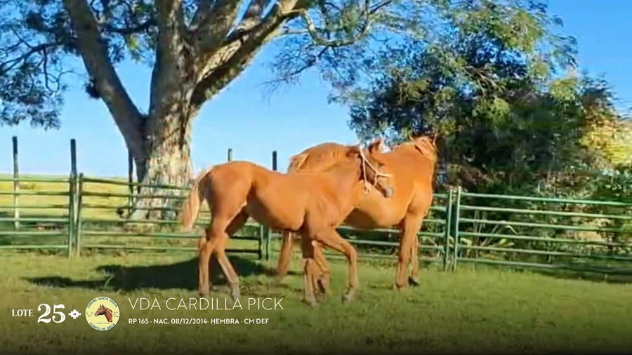 Lote VDA CARDILLA PICK