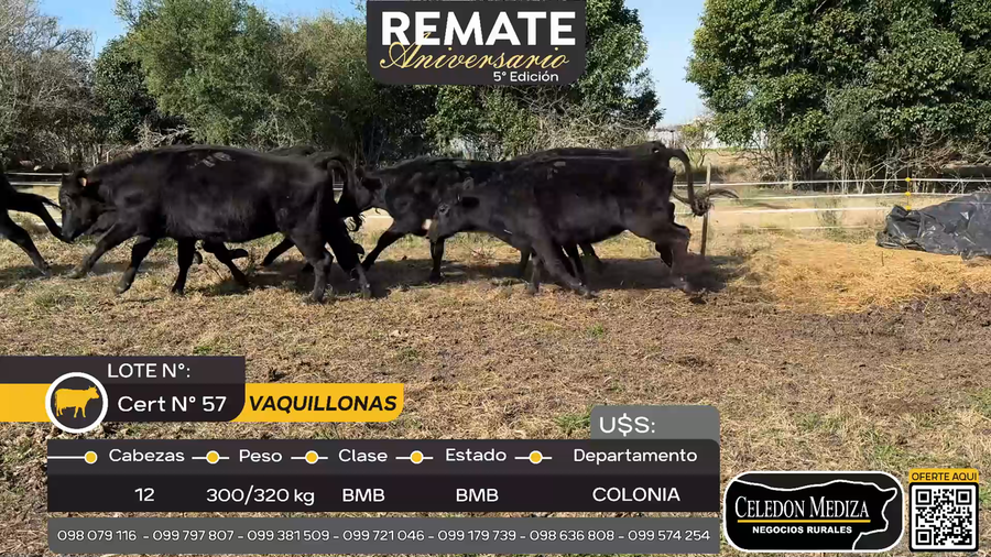Lote 12 Vaquillonas  en Juan González, Colonia