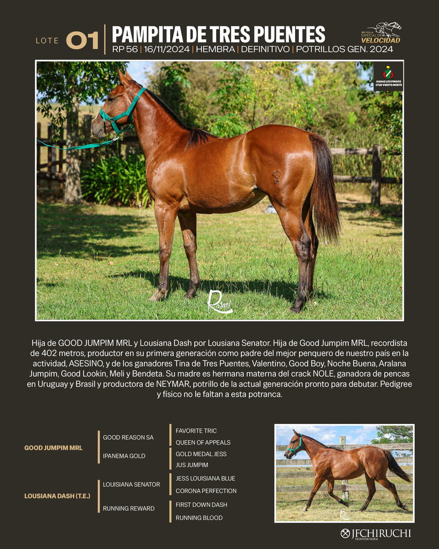 Lote PAMPITA DE TRES PUENTES