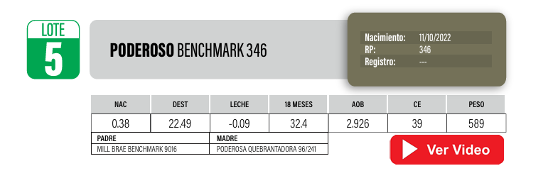 Lote Toros PI / PO / PC Angus a remate en Cabaña La Poderosa, Florida