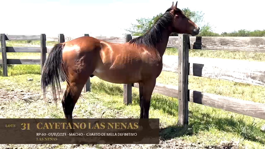 Lote Cayetano Las Nenas