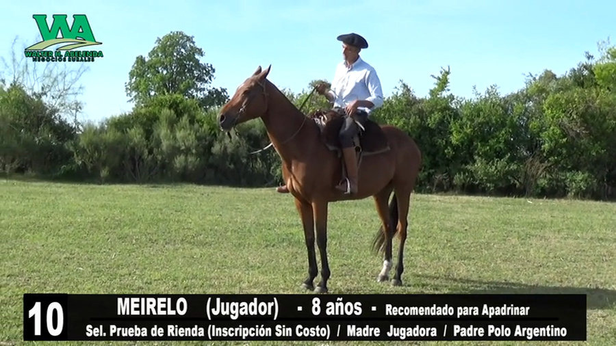 Lote MEIRELO