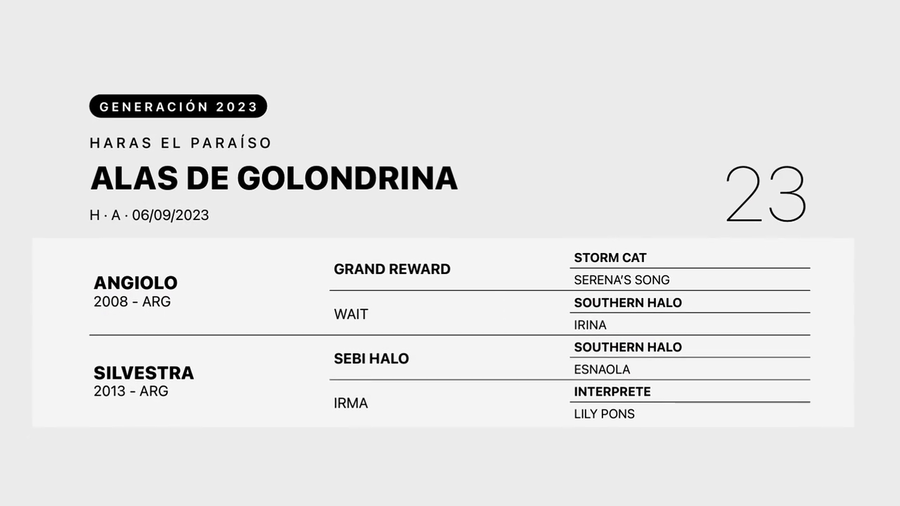 Lote ALAS DE GOLONDRINA