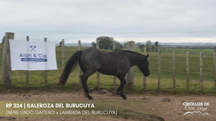 Lote Saleroza del Burucuya
