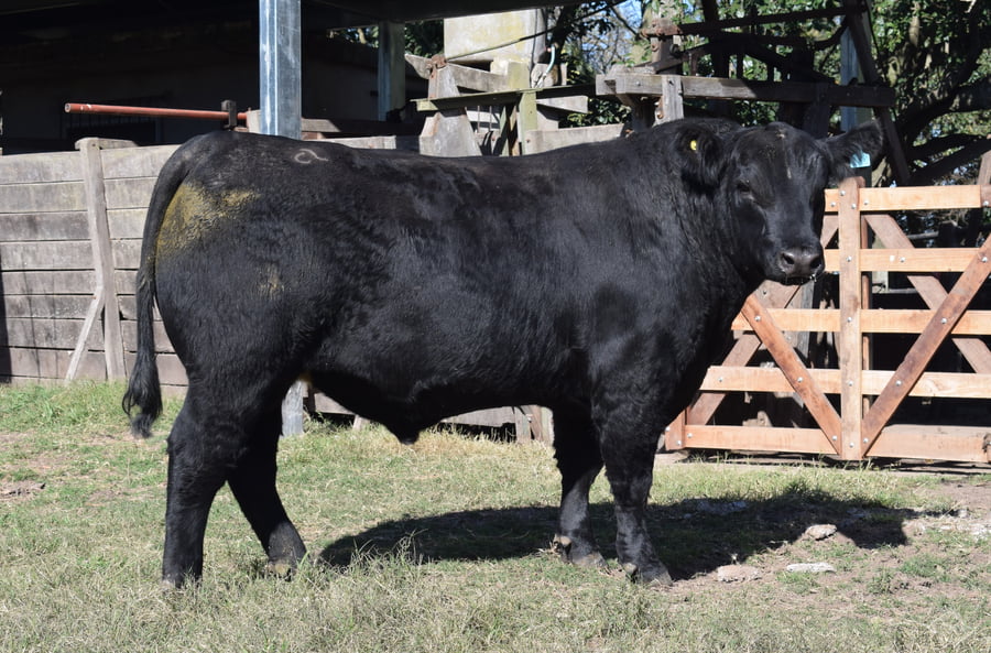 Lote CABAÑA “COEMBOTÁ” de Calderón RP 141