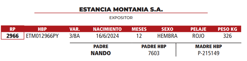 Lote LOTE 24