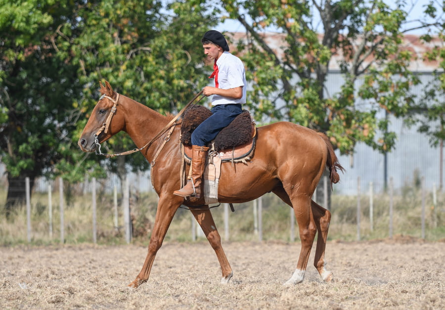 Lote MI ANGEL GUERRERO