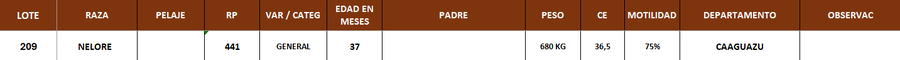 Lote LOTE 209