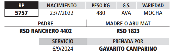 Lote LOTE 4