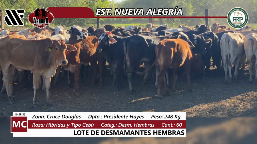 Lote Estancia Nueva Alegría