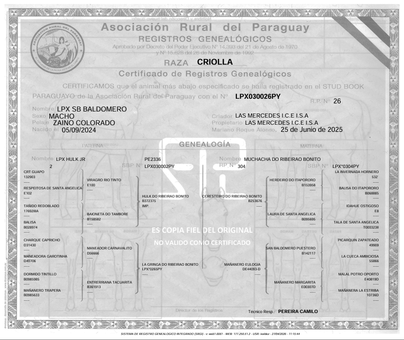 Lote LOTE 25- DE BOZAL
