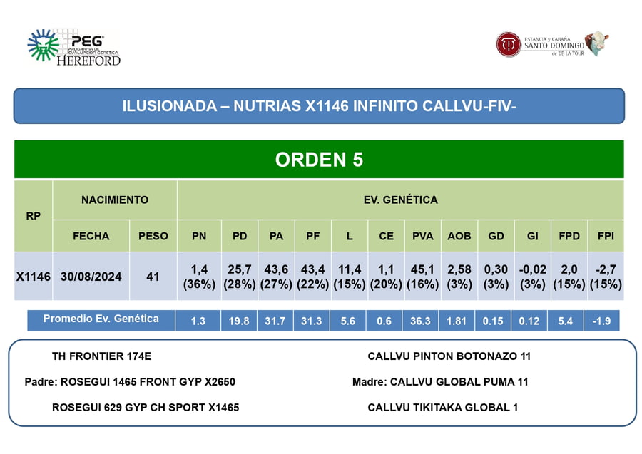 Lote Terneras PP