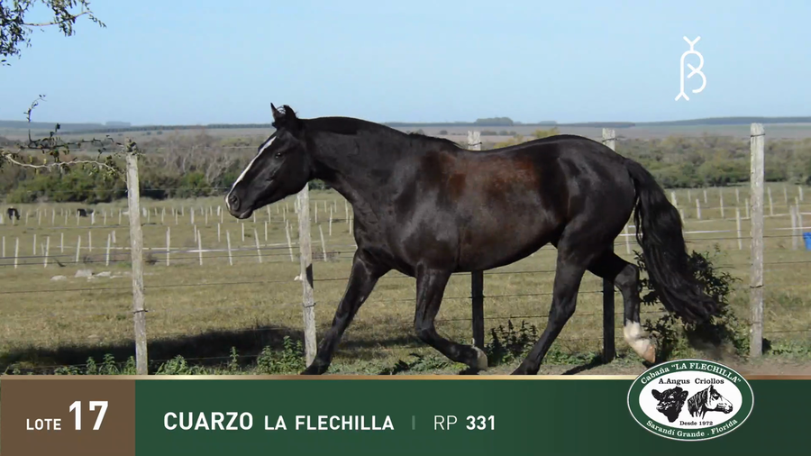 Lote CUARZO LA FLECHILLA