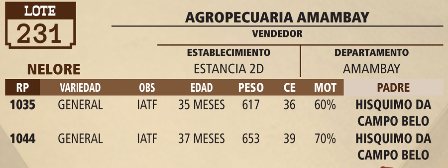 Lote LOTE 231 - VIVO