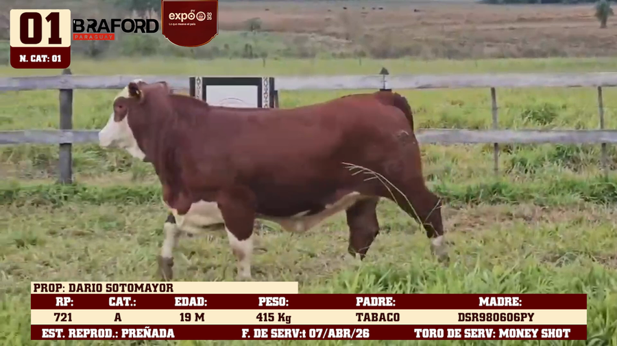 Lote LOTE 1