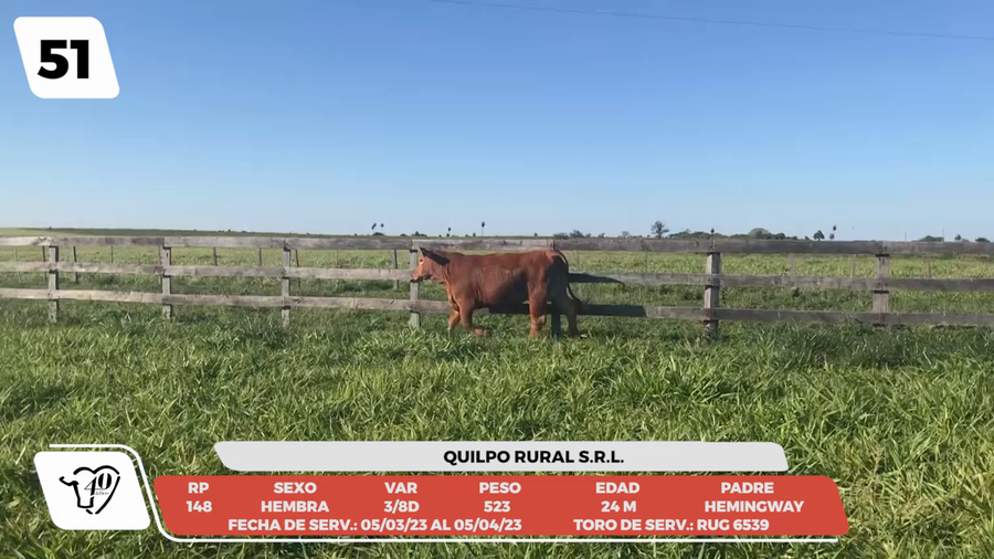 Lote LOTE 51-DE CAMPO