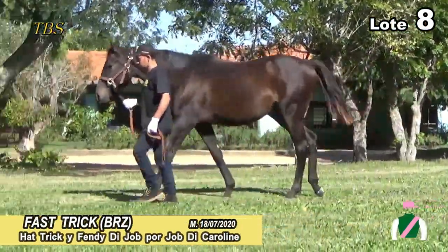 Lote FAST TRICK (BRZ)