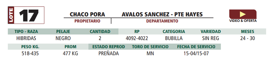Lote LOTE 17