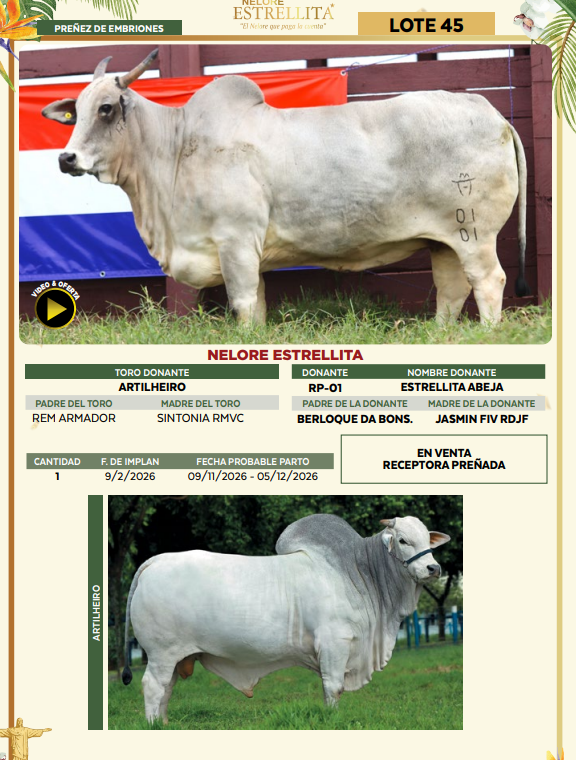 Lote LOTE 45