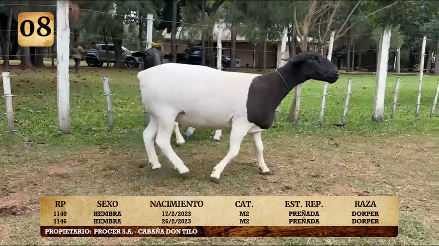 Lote LOTE 8