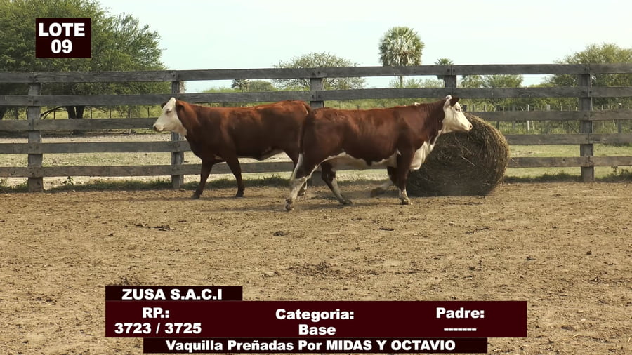 Lote Cabañas de Tradición - Lote 09