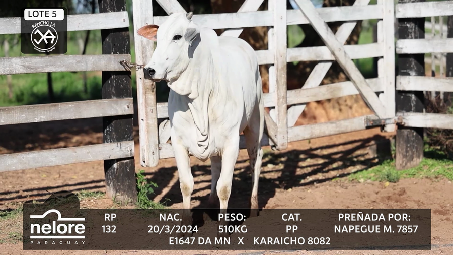 Lote LOTE 5