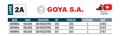 Lote LOTE 2A- POR PANTALLA