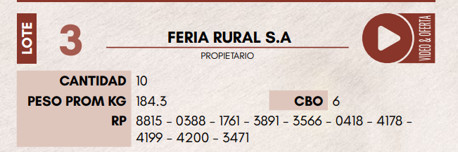 Lote LOTE 3 - HEMBRAS TIPO BRAFORD