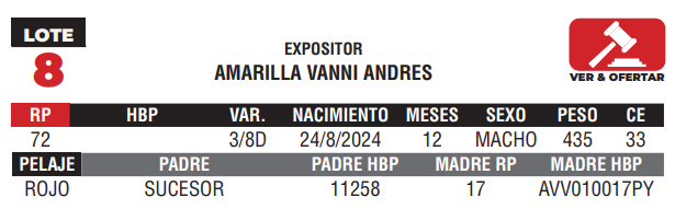 Lote LOTE 8 - JUNIOR