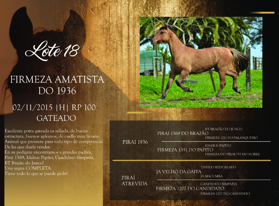 Lote RP 100 - FIRMEZA AMATISTA DO 1936