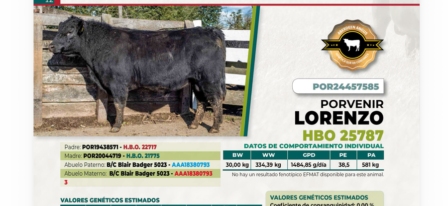 Lote 1 Toro LORENZO DIIO 7585
