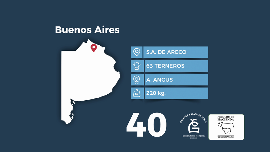 Lote 63 Terneros en Buenos Aires, San Antonio de Areco