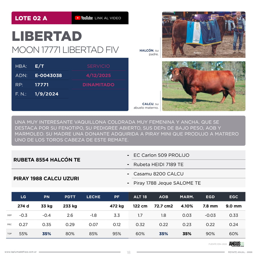 Lote RP 17771 Y 17773 - VAQUILLONAS PP ELITE VENTA DE UNA ELECCION