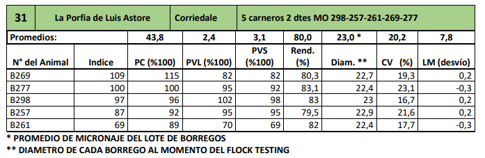 Lote 5 carneros 2 dtes MO 298-257-261-269-277