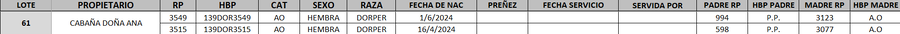 Lote LOTE 61- DESTACADO